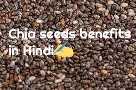 Chia seeds in Hindi चिया बीज के फायदे मौजूद पोषक तत्व और नुकसान