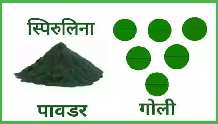 Spirulina in Hindi स्पिरुलिना के फायदे, खुराक और नुकसान