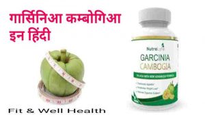 Read more about the article Garcinia cambogia in Hindi गार्सिनिआ कम्बोगिआ का उपयोग फायदे और नुकसान