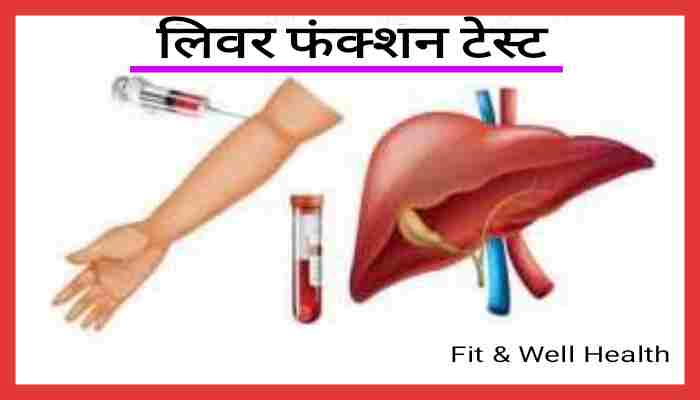 Liver function in Hindi लिवर के कार्य जिगर रोगों के लक्षण एवं टेस्ट के प्रकार